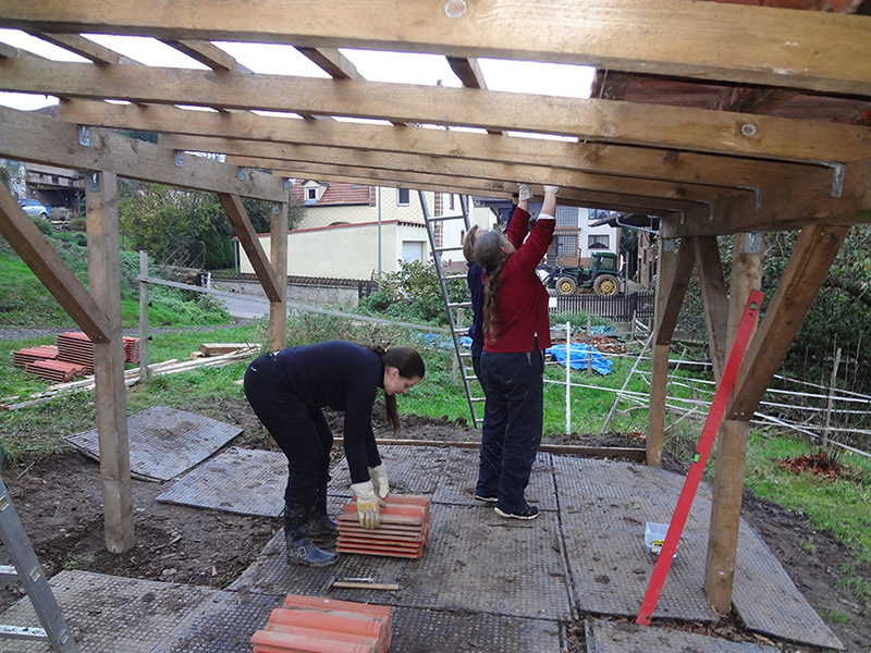 Eselunterstand bauen